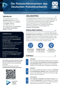 DRV Führerschein Flyer